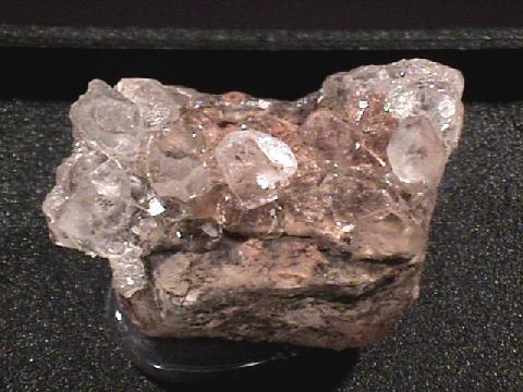 Ammonium muriaticum