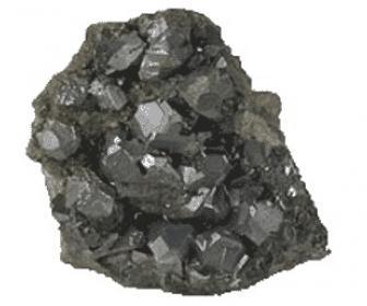 Argentum nitricum