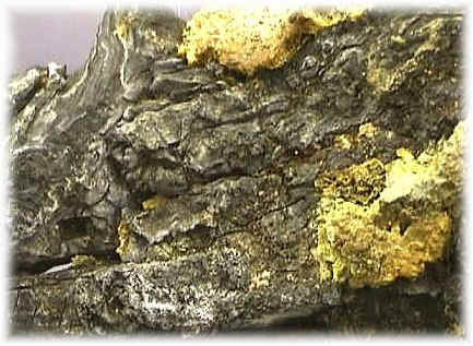 Arsenicum iodatum