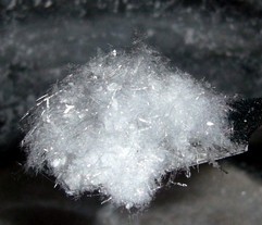 Benzoicum acidum