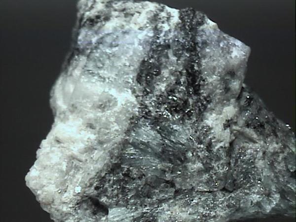 Calcarea fluorica