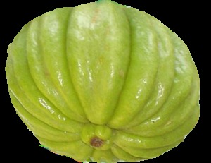 Gambogia