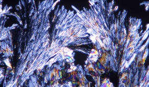 Kalium phosphoricum