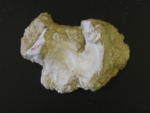 Magnesium carbonicum