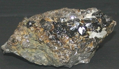 Stannum metallicum